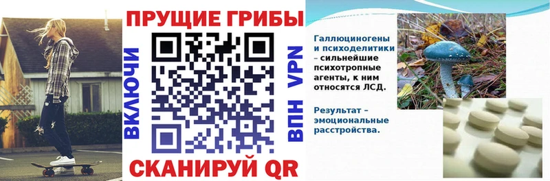 Галлюциногенные грибы Psilocybine cubensis  наркотики  Ливны 